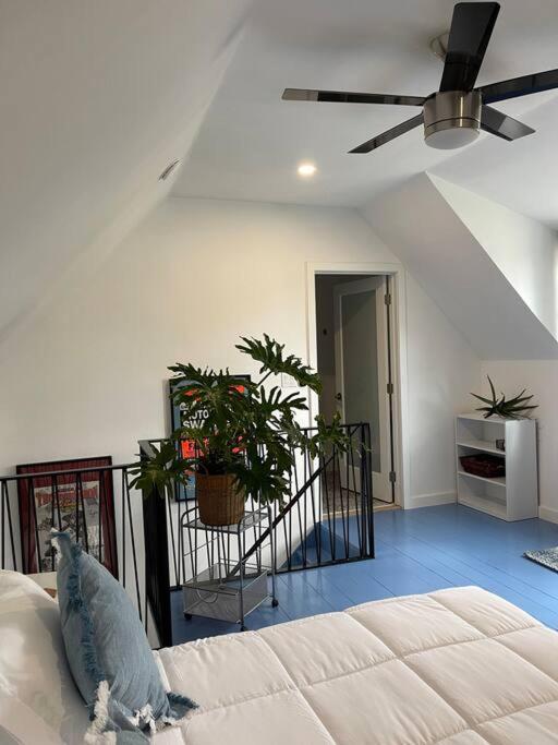The Paddock House At Blanco Texas 빌라 외부 사진