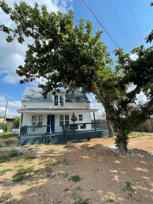 The Paddock House At Blanco Texas 빌라 외부 사진